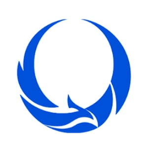 朱雀AI检测 logo