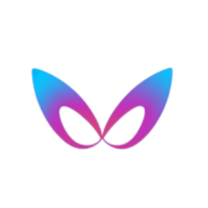 飞影数字人 logo